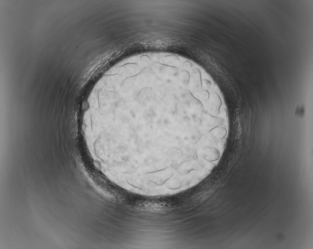 X0000114630638200912011026