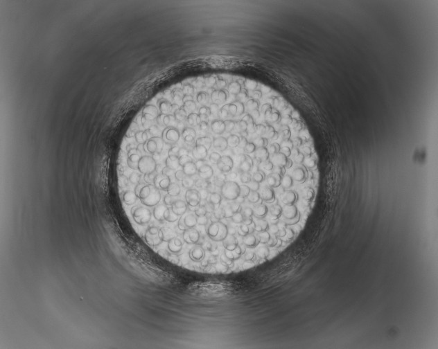 X0000114630639200912011026