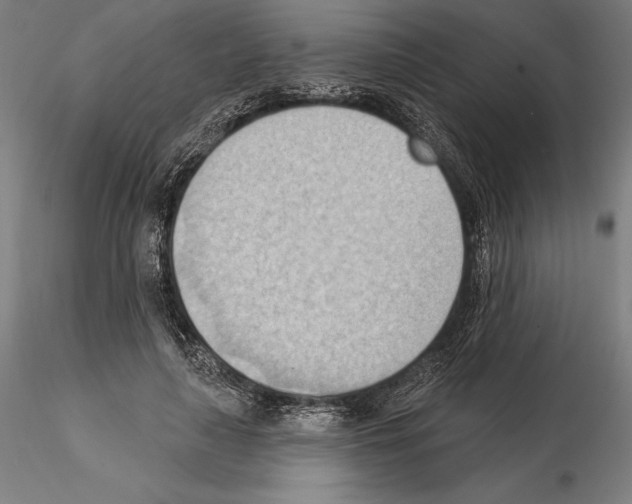 X0000114630643200912011026