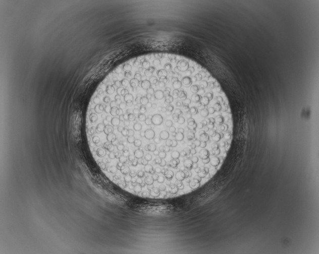 X0000114630646200912011026