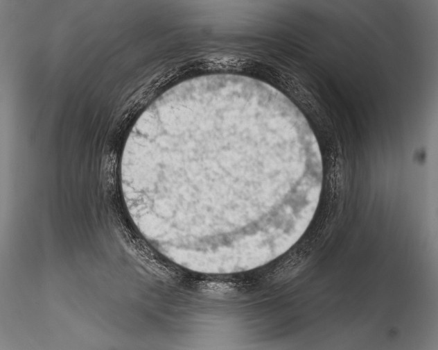 X0000114630649200912011026