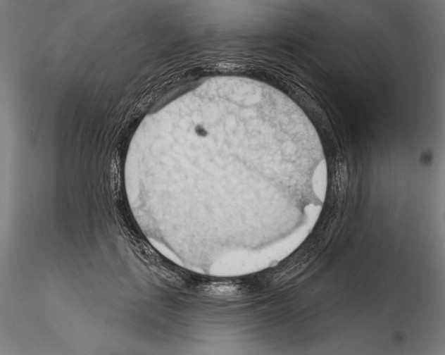 X0000114630651200912011026