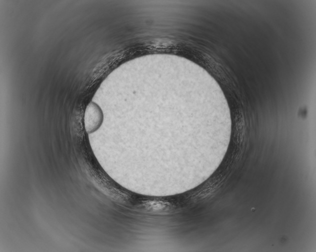 X0000114630654200912011026