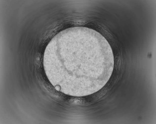 X0000114630655200912011026