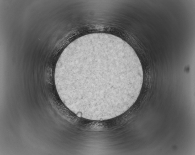 X0000114630656200912011026