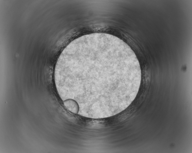 X0000114630664200912011026