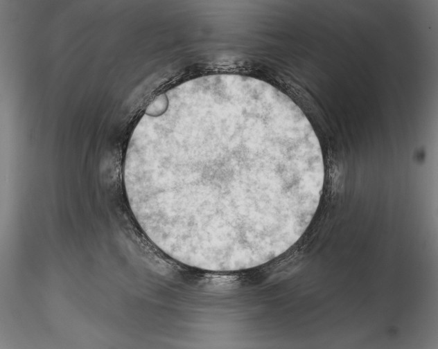 X0000114630665200912011026