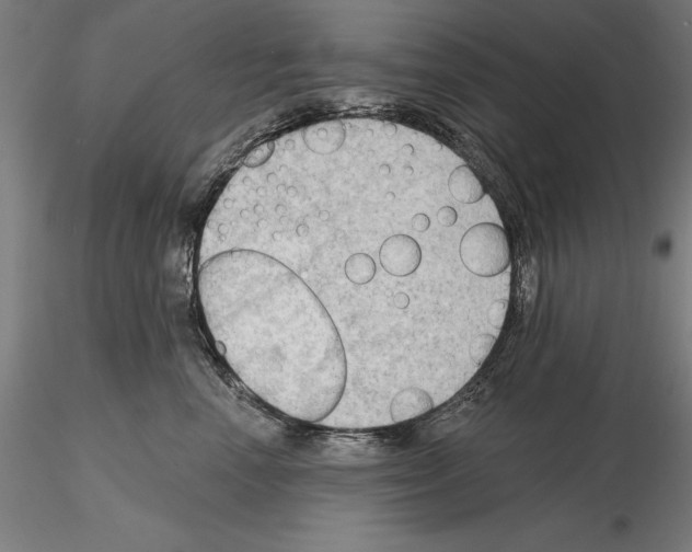 X0000114630666200912011026