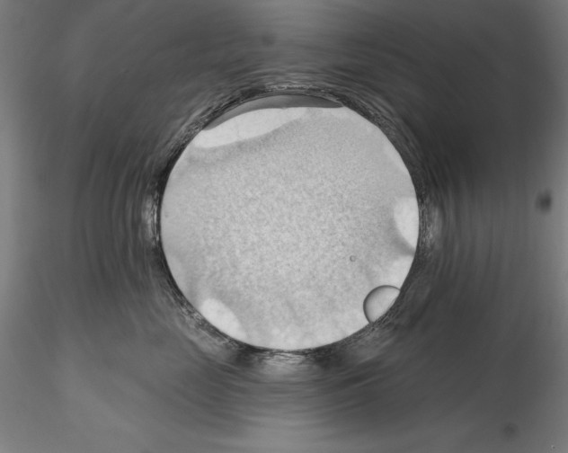 X0000114630669200912011026