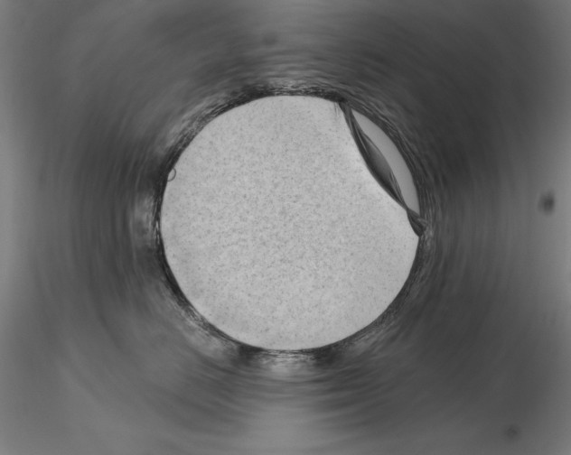 X0000114630670200912011026