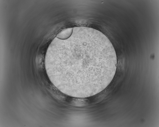 X0000114630671200912011026