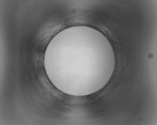 X0000114630672200912011026