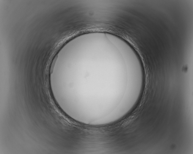 X0000114630673200912011025