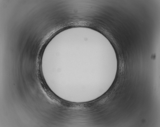 X0000114630674200912011025