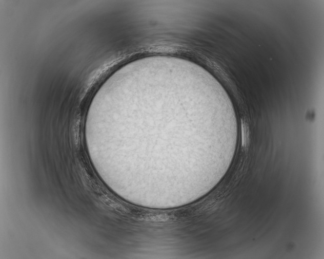 X0000114630675200912011025