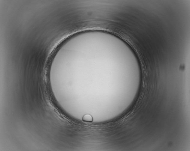 X0000114630676200912011025