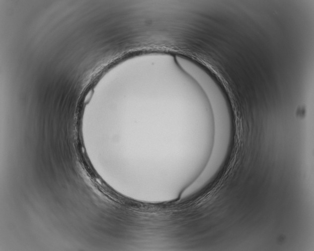 X0000114630677200912011025