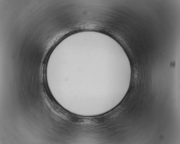 X0000114630678200912011025