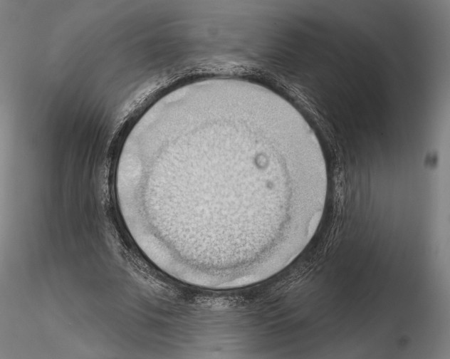 X0000114630679200912011025