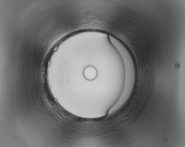 X0000114630680200912011025