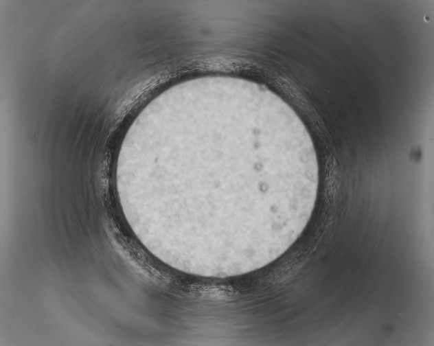 X0000114630683200912011025