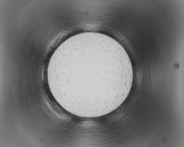 X0000114630686200912011025