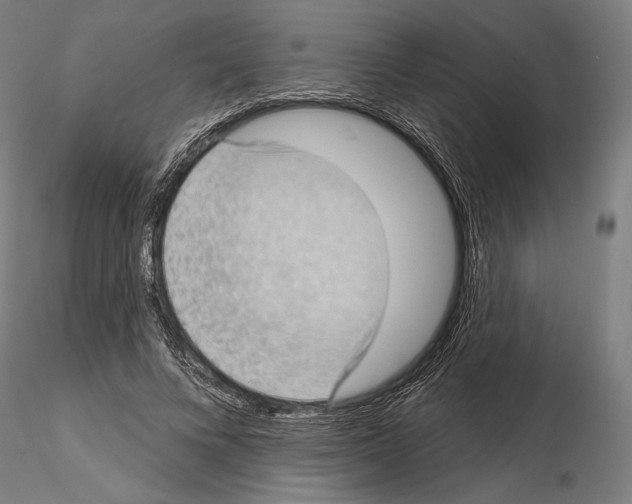 X0000114630688200912011025