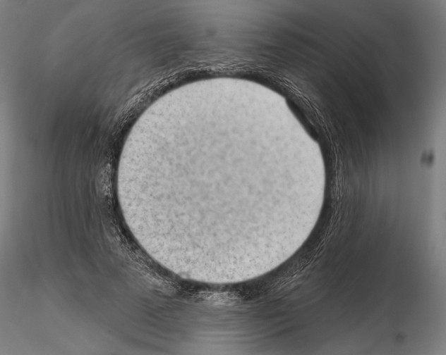 X0000114630689200912011025