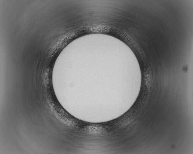 X0000114630690200912011025