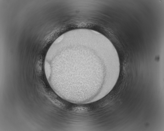 X0000114630691200912011025