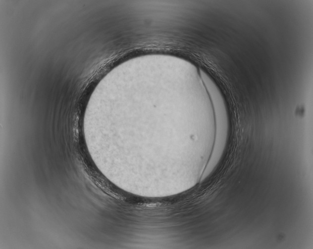 X0000114630692200912011025