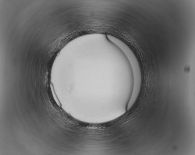 X0000114630693200912011025