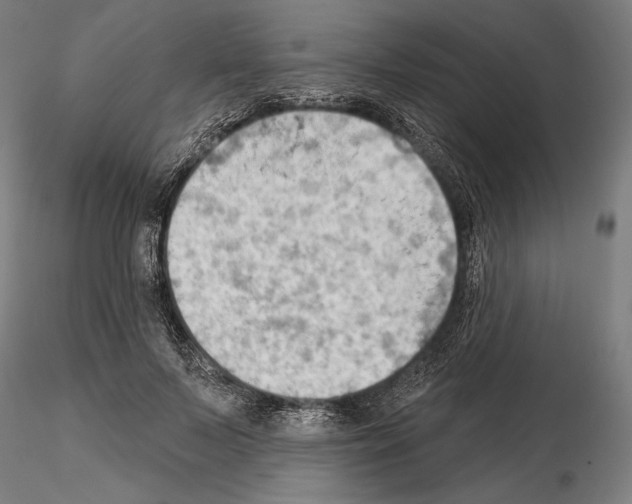 X0000114630695200912011025