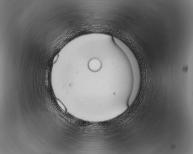 X0000114630696200912011025