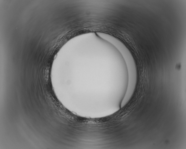 X0000114630697200912011025