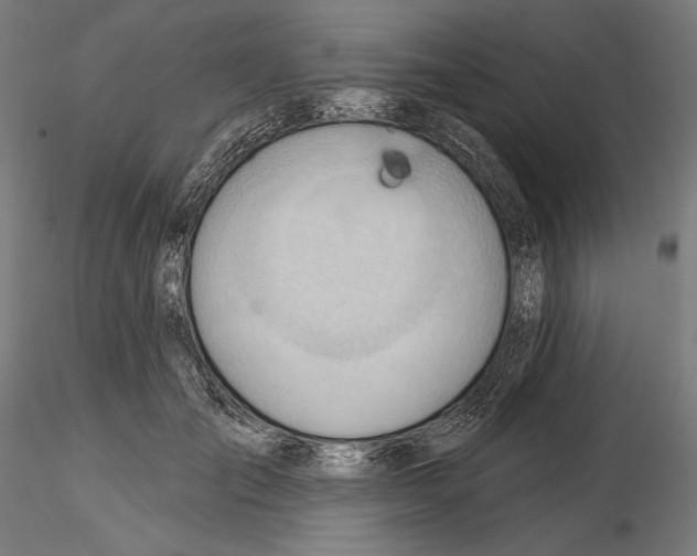 X0000114630701200912011025