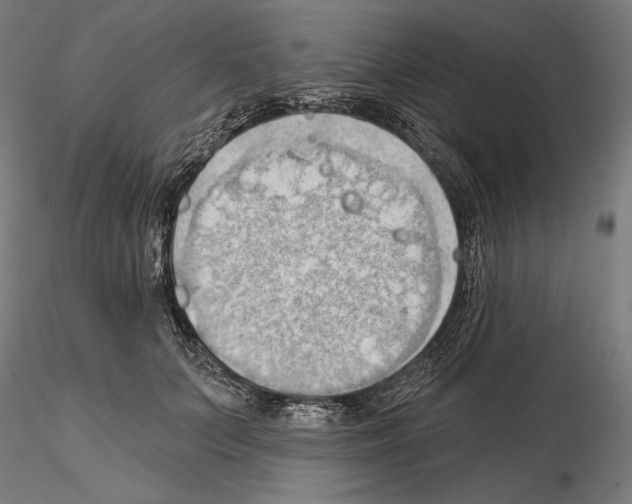 X0000114630703200912011025