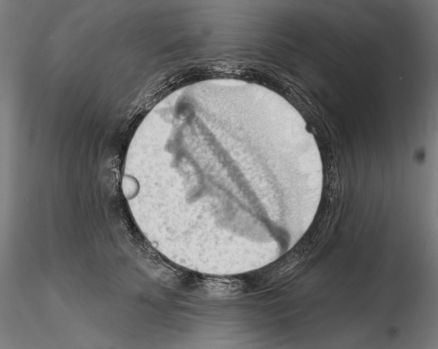 X0000114630707200912011025