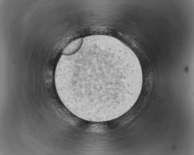 X0000114630708200912011025