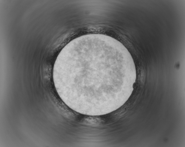 X0000114630712200912011025