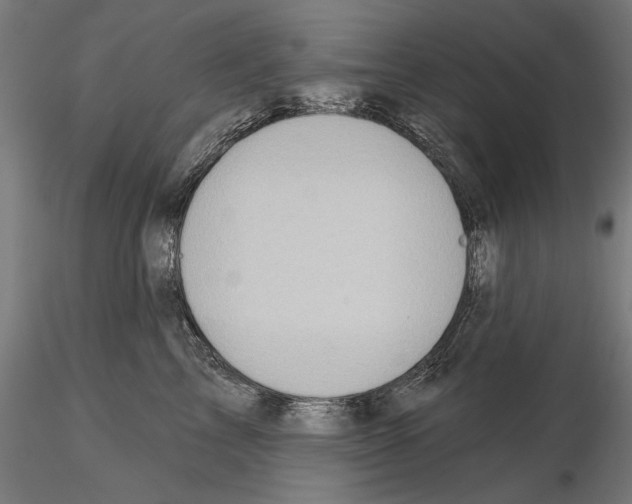 X0000114630713200912011025