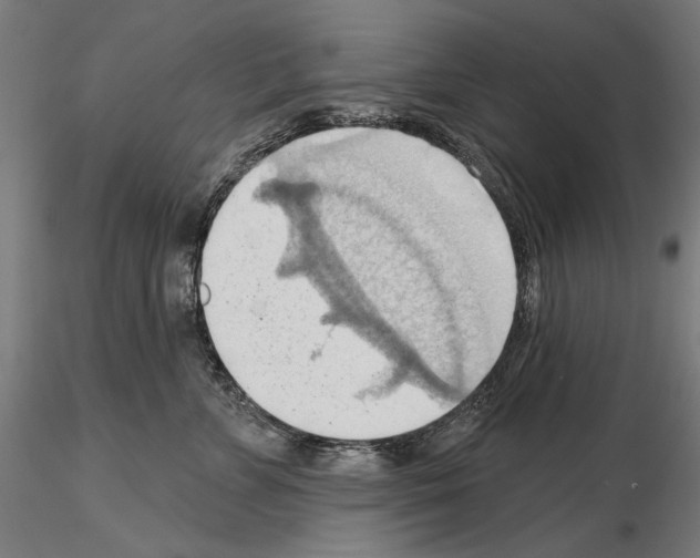 X0000114630715200912011025