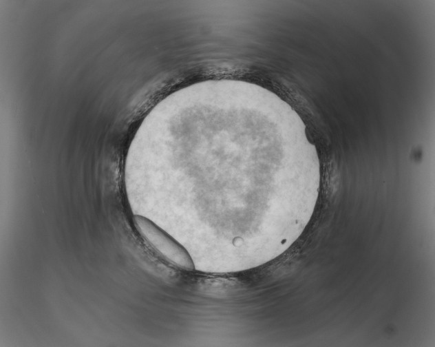 X0000114630716200912011025