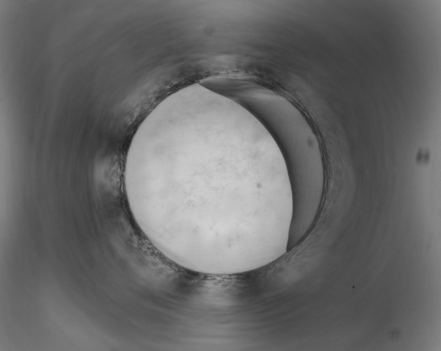 X0000114630720200912011025