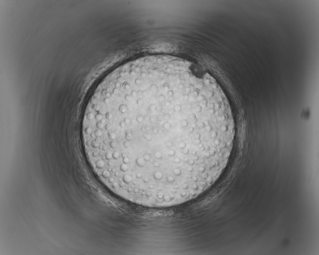 X0000114630721200912011024