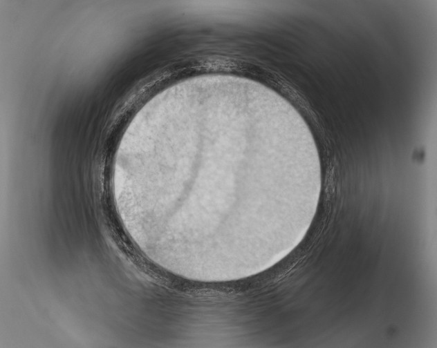 X0000114630722200912011024