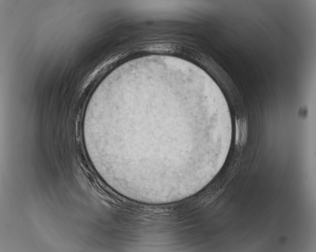 X0000114630723200912011024