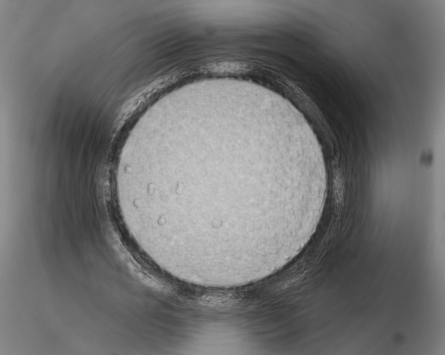 X0000114630725200912011024