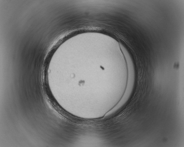 X0000114630726200912011024