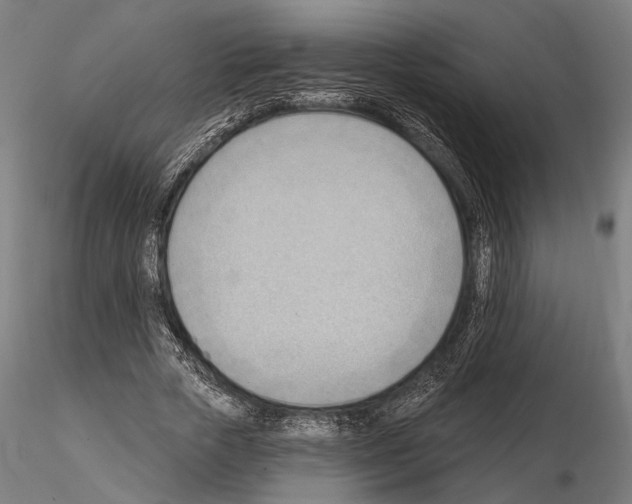 X0000114630729200912011024